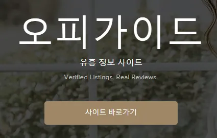 오피가이드 1